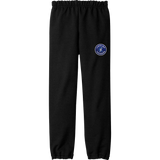 Carolina Thunder Youth Heavy Blend Sweatpant