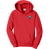 Scary Badgers Youth Fan Favorite Fleece Pullover Hooded Sweatshirt